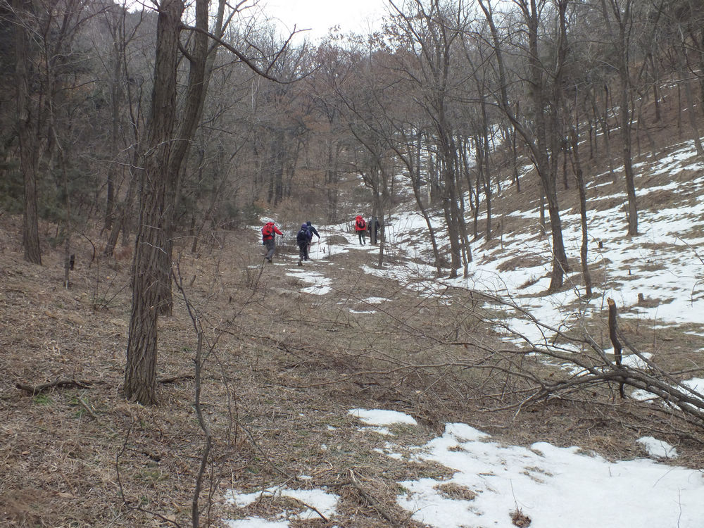 DSCF2335.JPG