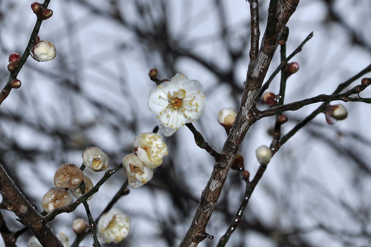 DSC_1192=.jpg