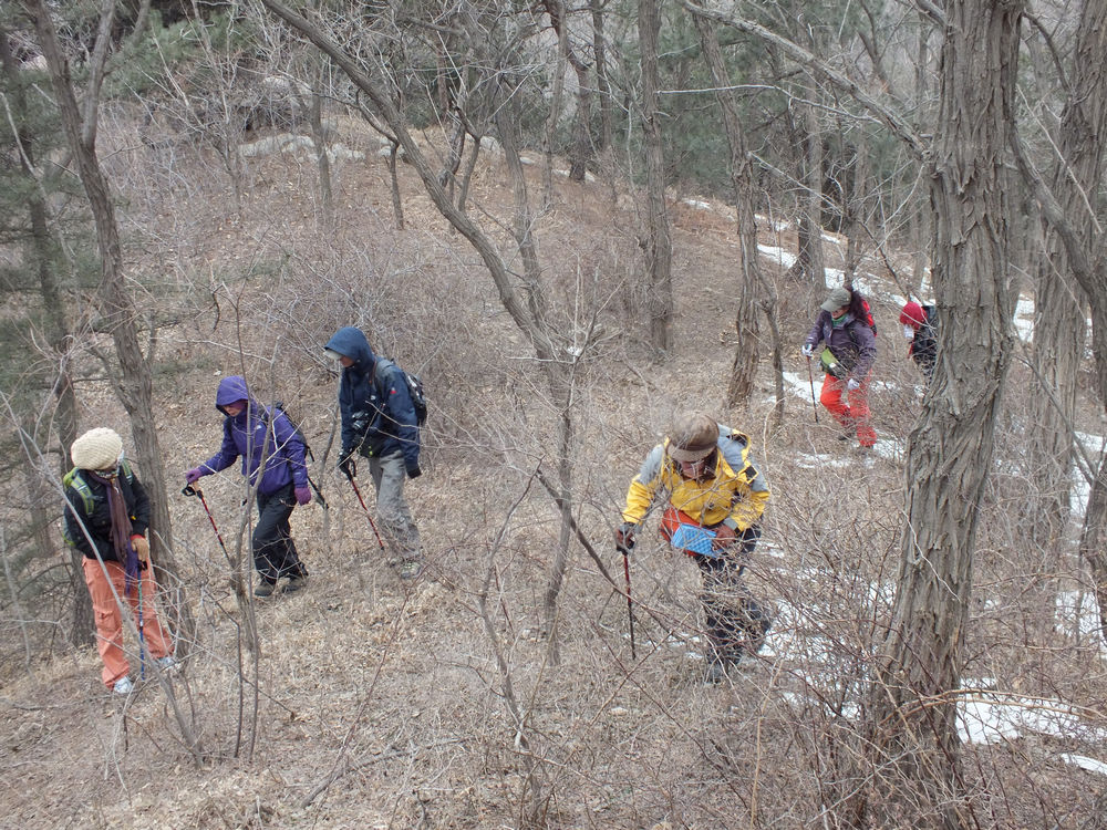 DSCF2336.JPG