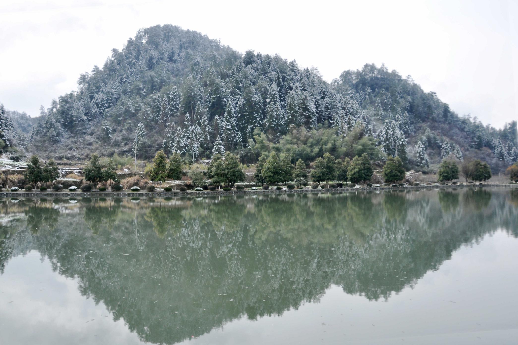 DSC_1242.jpg