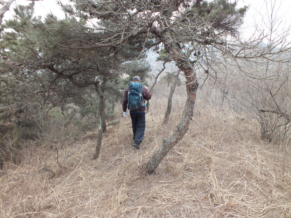 DSCF2346.JPG