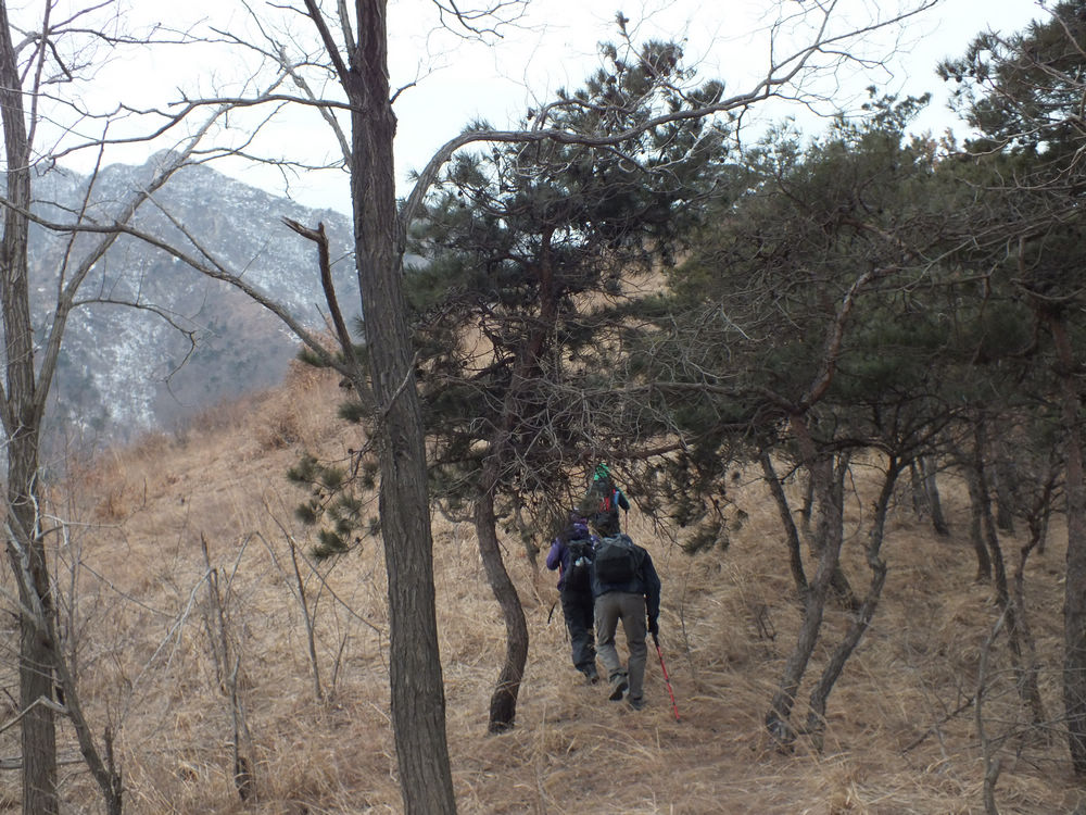 DSCF2362.JPG