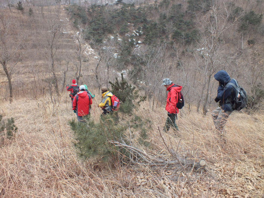 DSCF2356.JPG