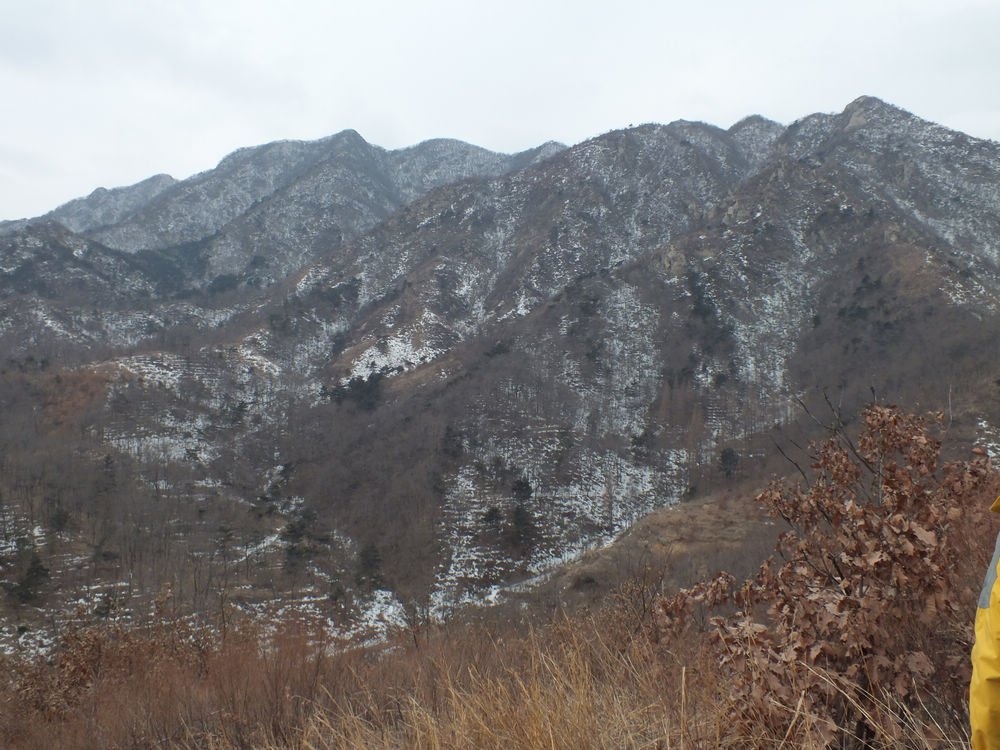 DSCF2365.JPG