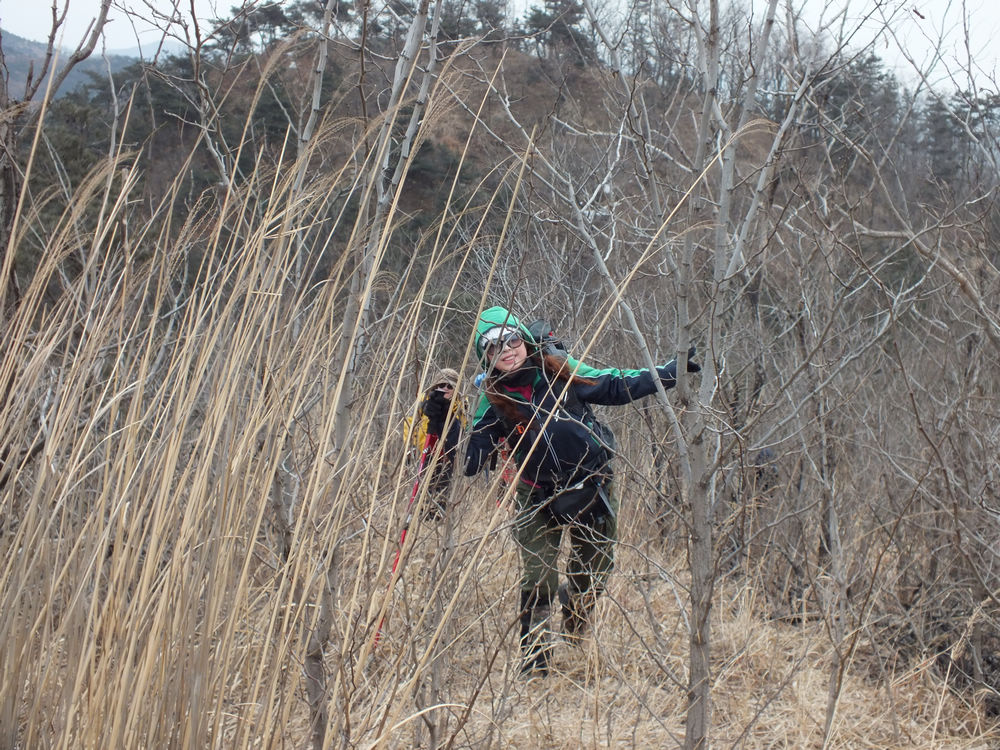 DSCF2368.JPG