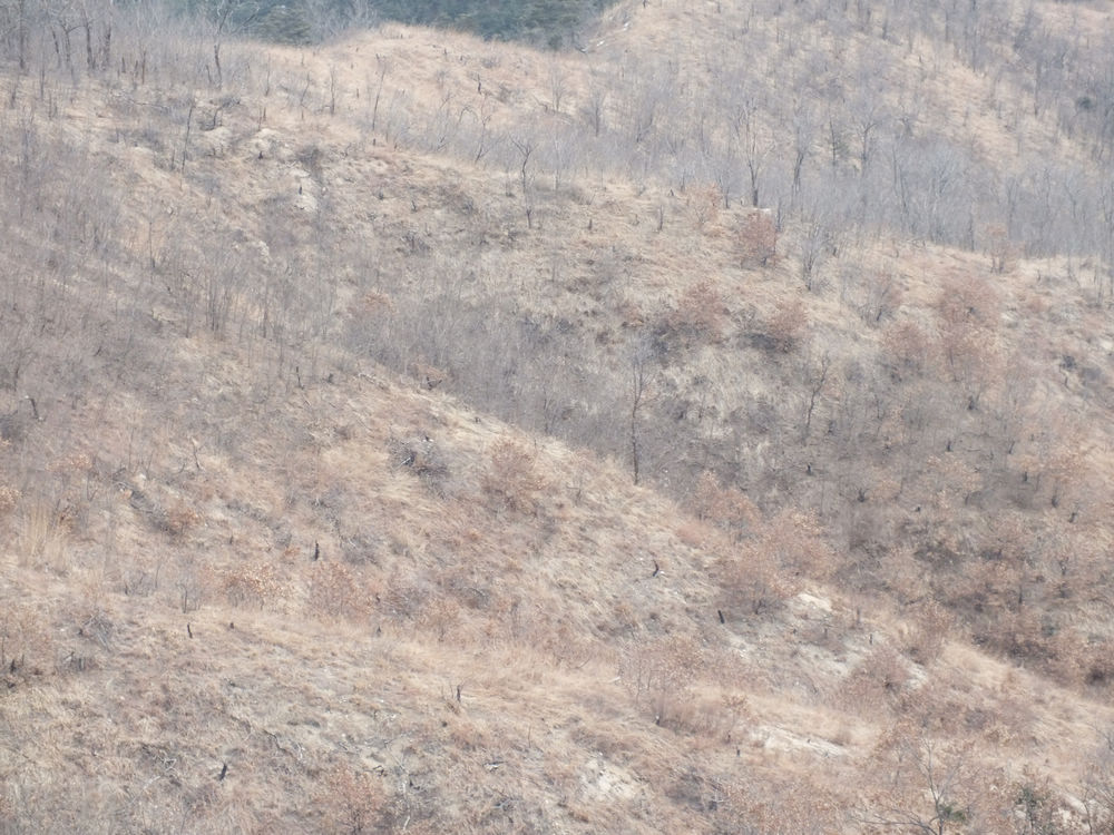 DSCF2378.JPG