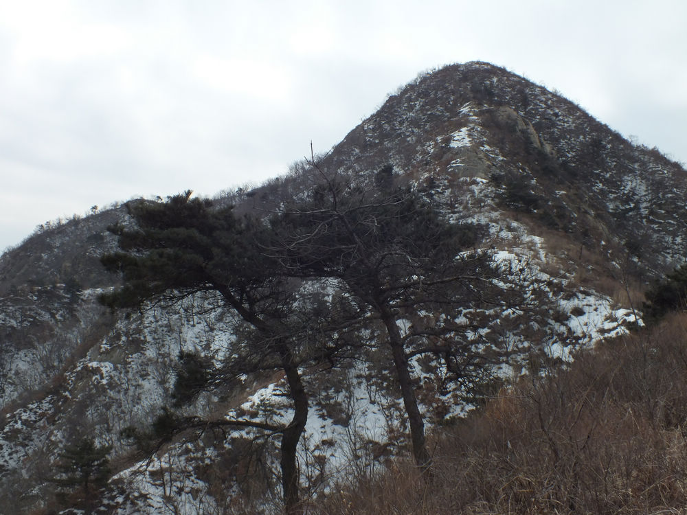 DSCF2396.JPG