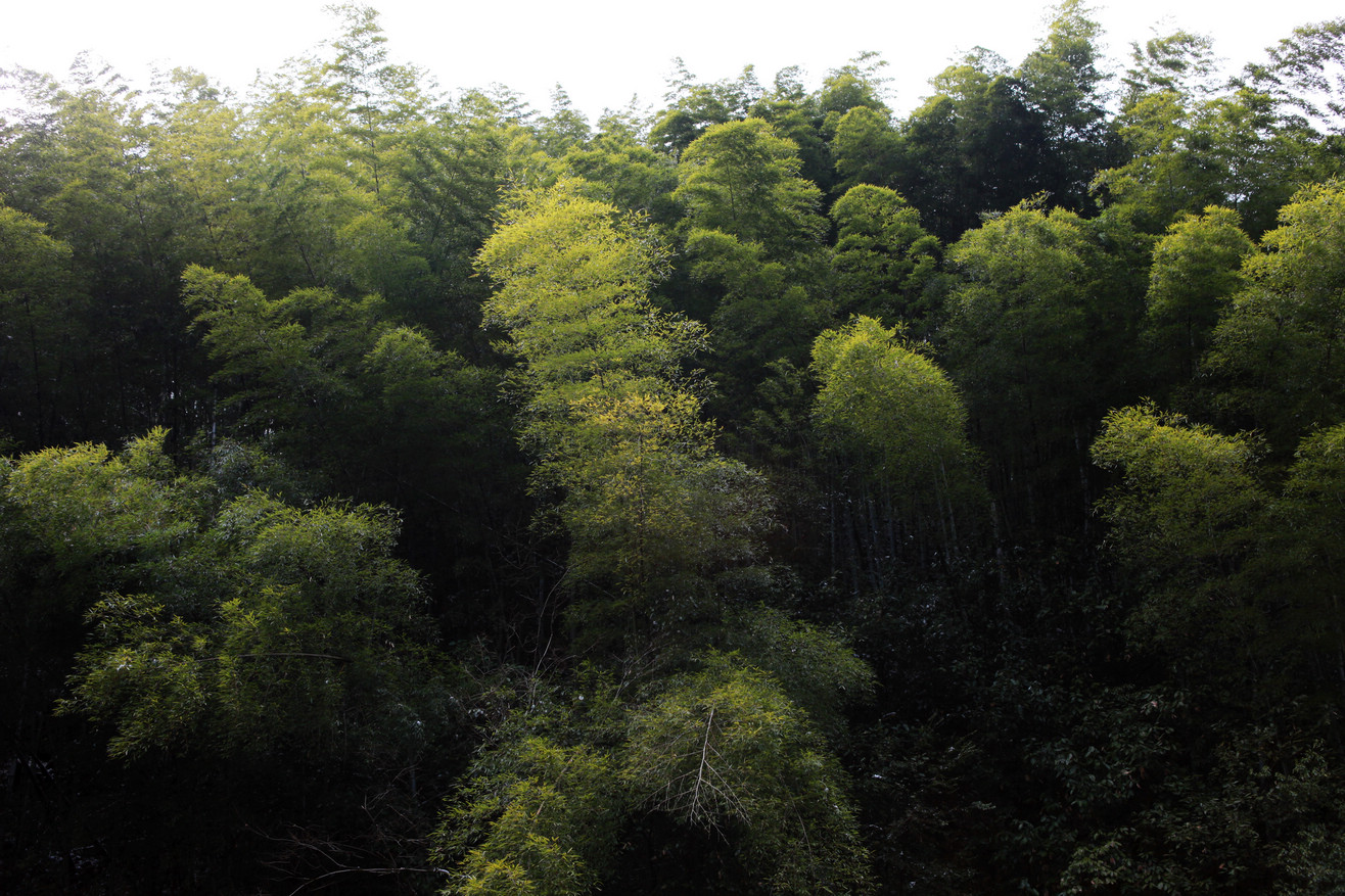IMG_8837.jpg