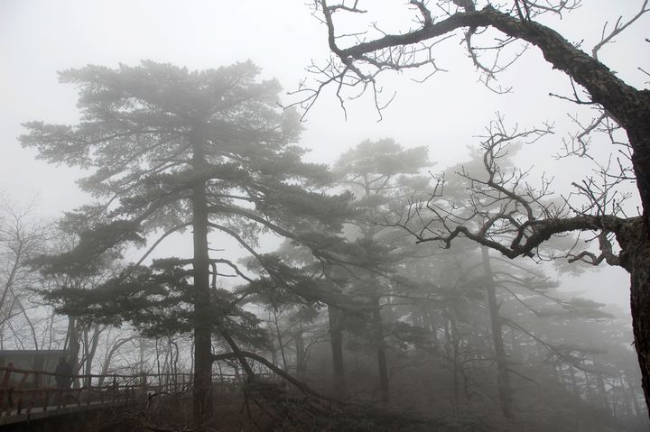 黄山 040.jpg
