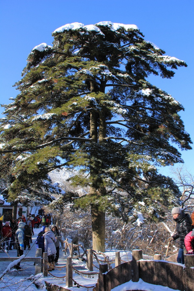 2012春节安徽行 092.jpg