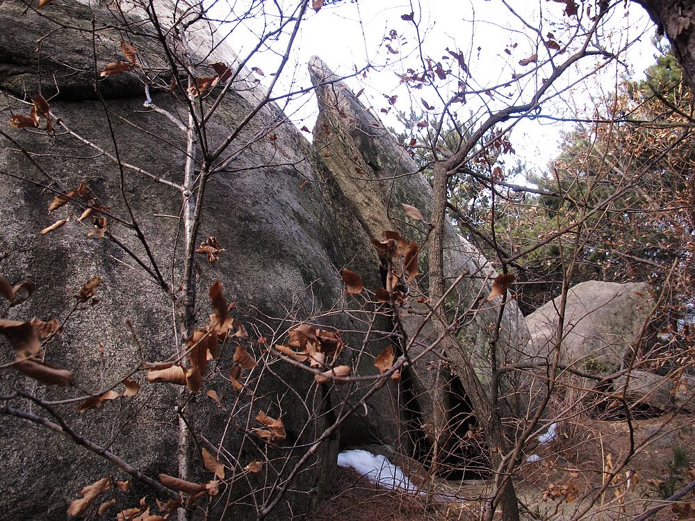 IMG_6119.jpg