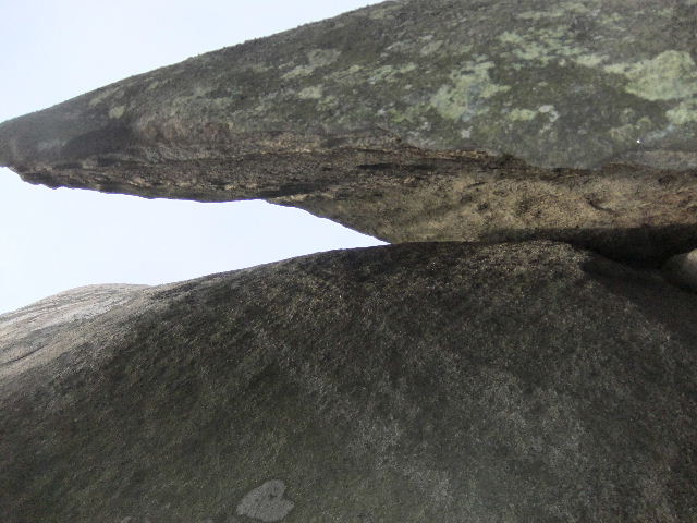 DSCF3194.jpg