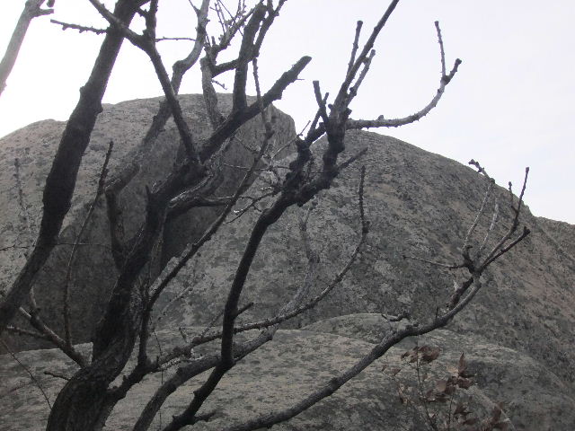 DSCF3196.jpg
