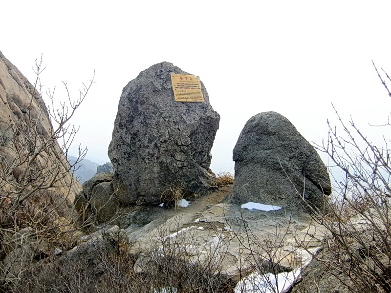 DSCF5601.jpg
