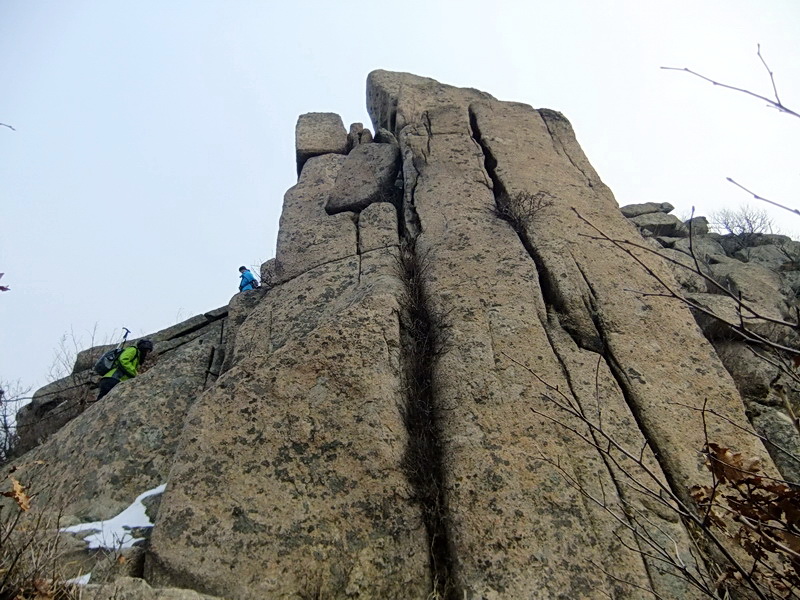 DSCF5613.jpg