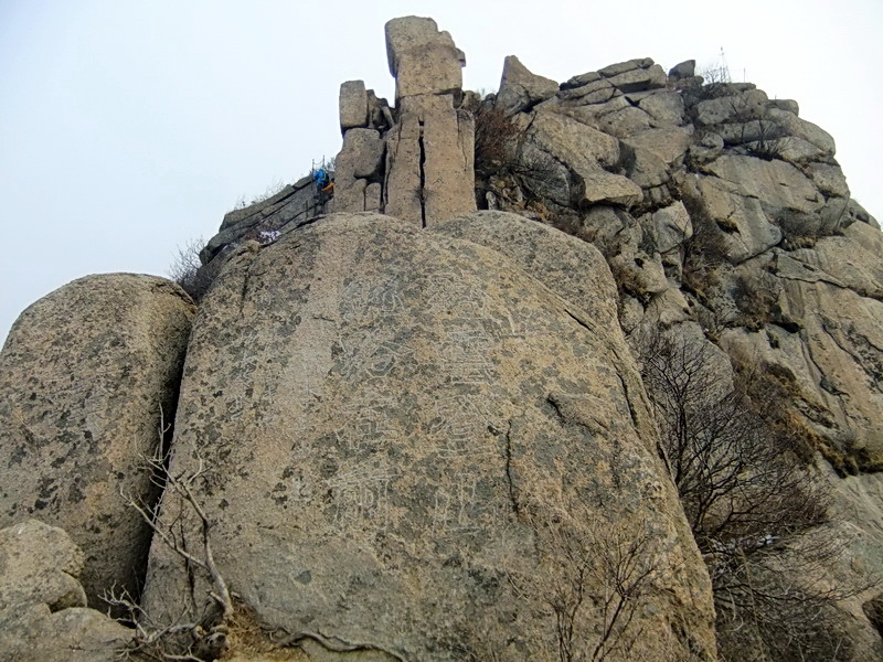 DSCF5610.jpg