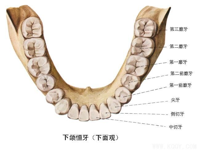 2011214162900.jpg