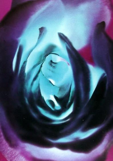 花1.jpg