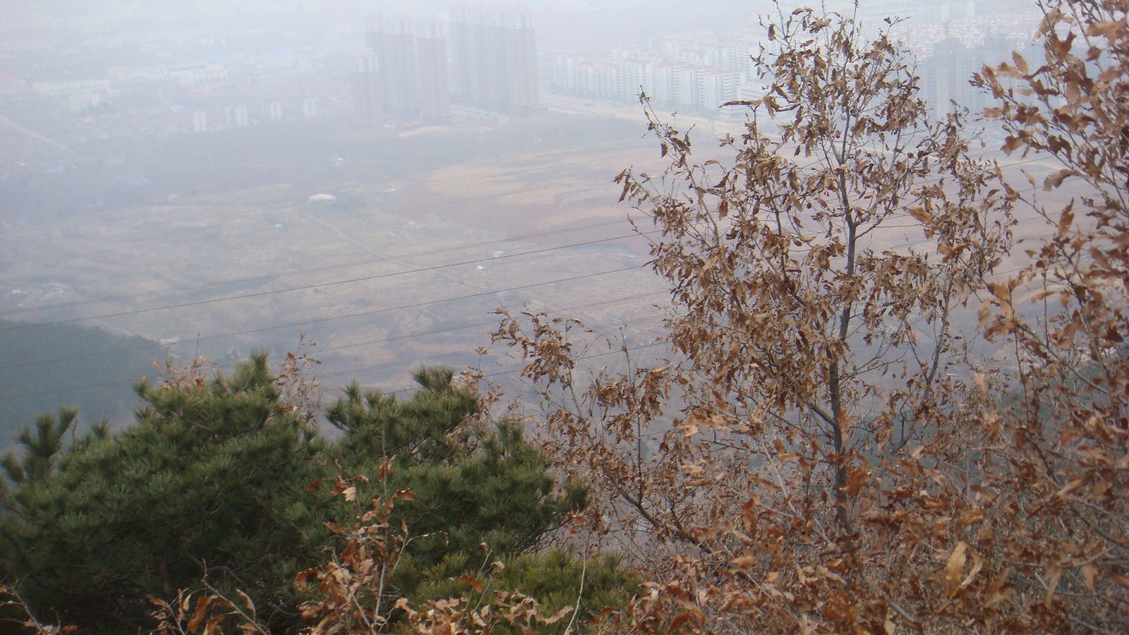 nEO_IMG_DSC09173.jpg