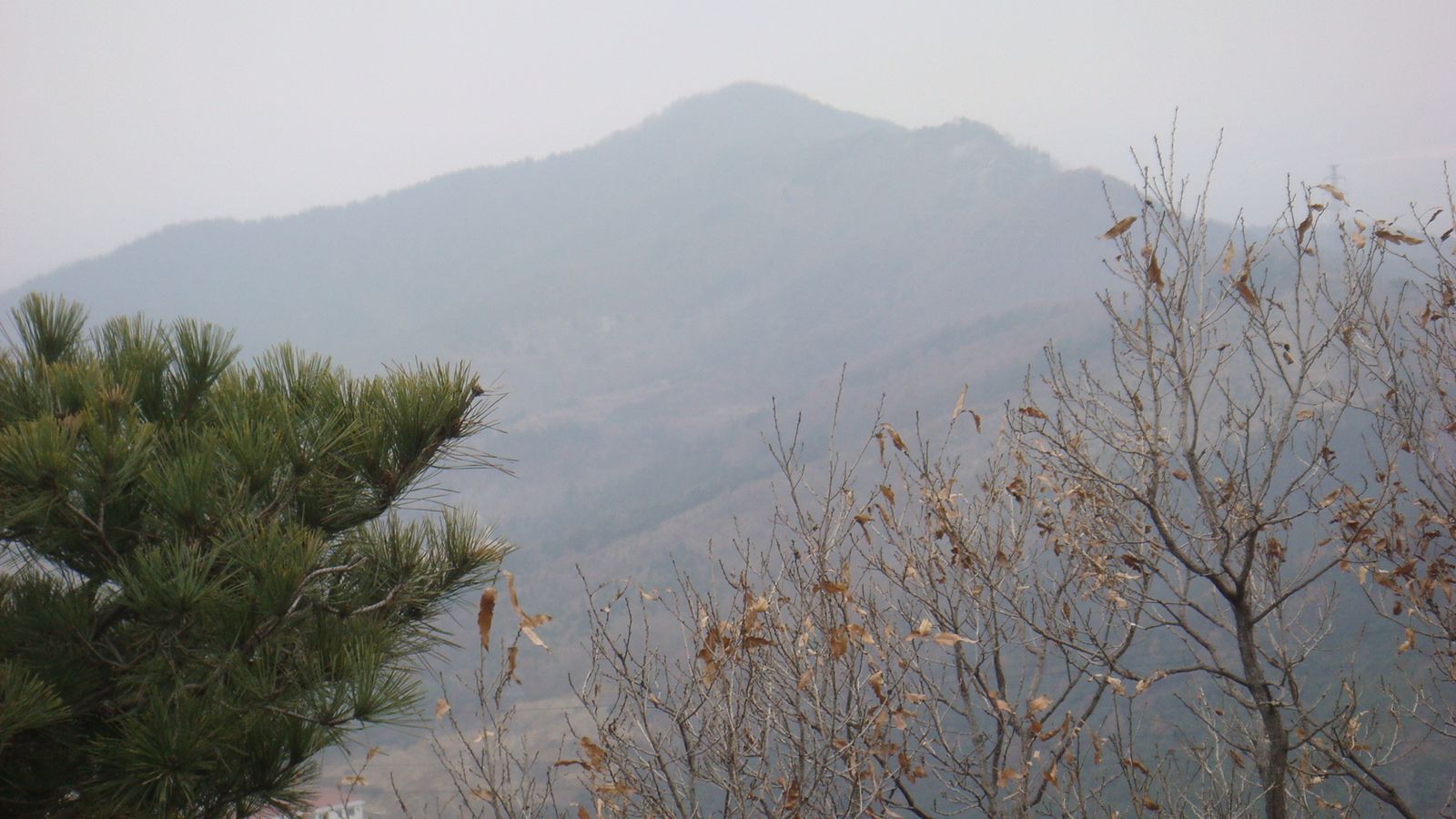 nEO_IMG_DSC09178.jpg