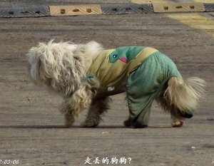 DSCF4335.jpg
