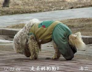 DSCF4331.jpg