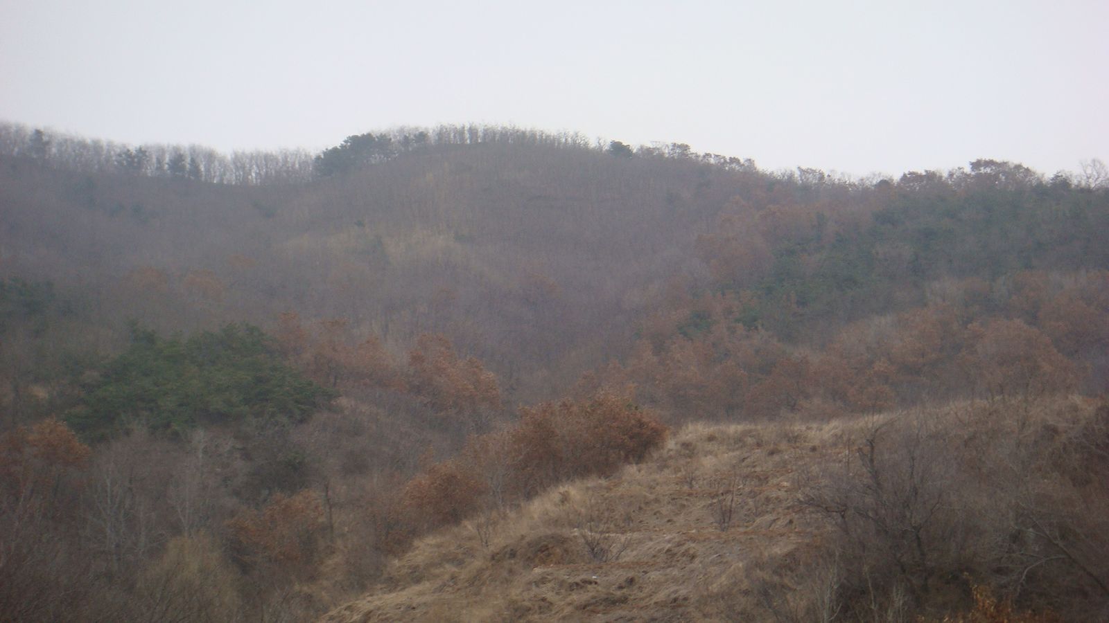 nEO_IMG_DSC09211.jpg