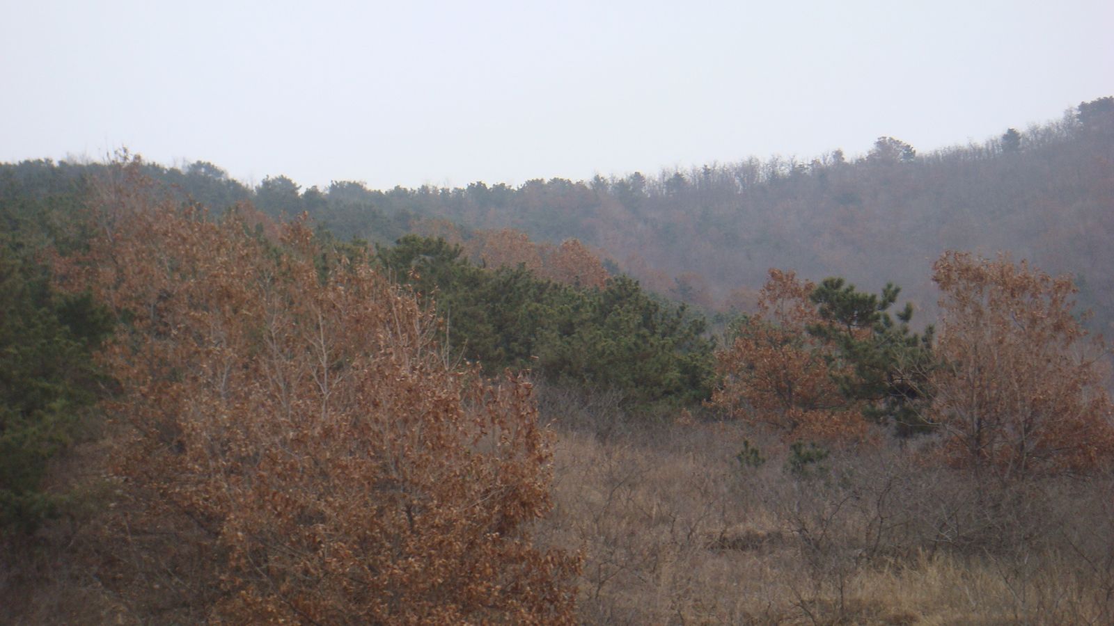 nEO_IMG_DSC09212.jpg
