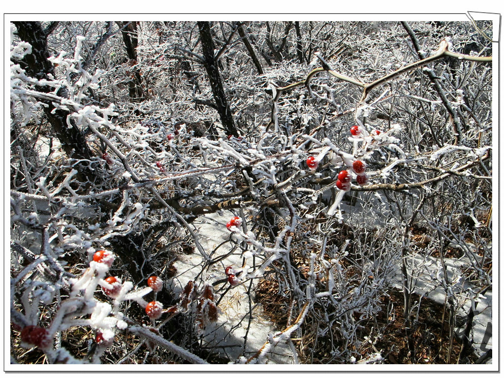 IMG_6553.JPG