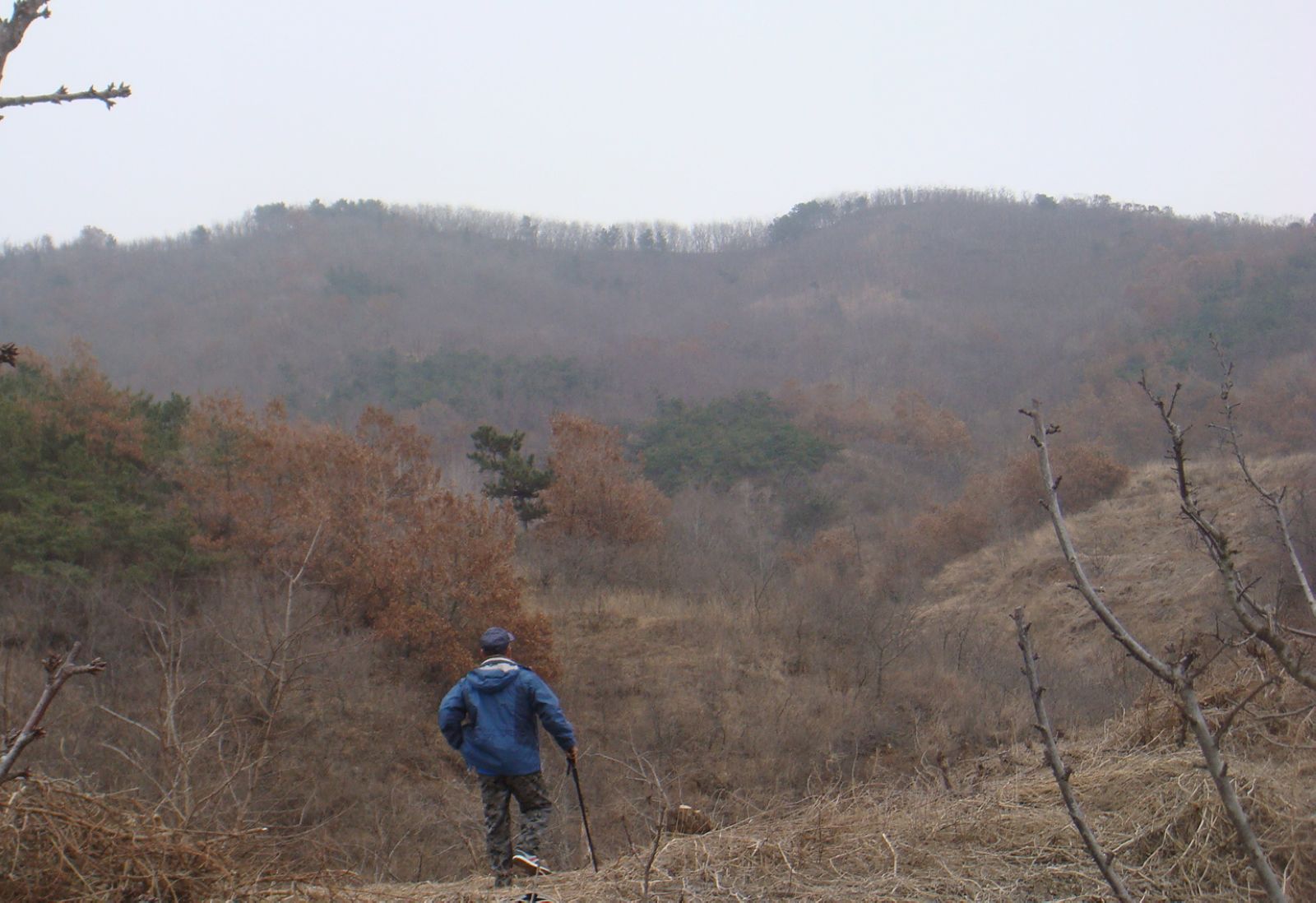 DSC09209.JPG