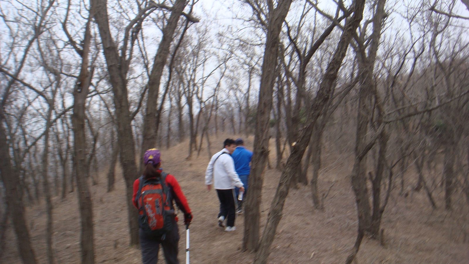 nEO_IMG_DSC09221.jpg