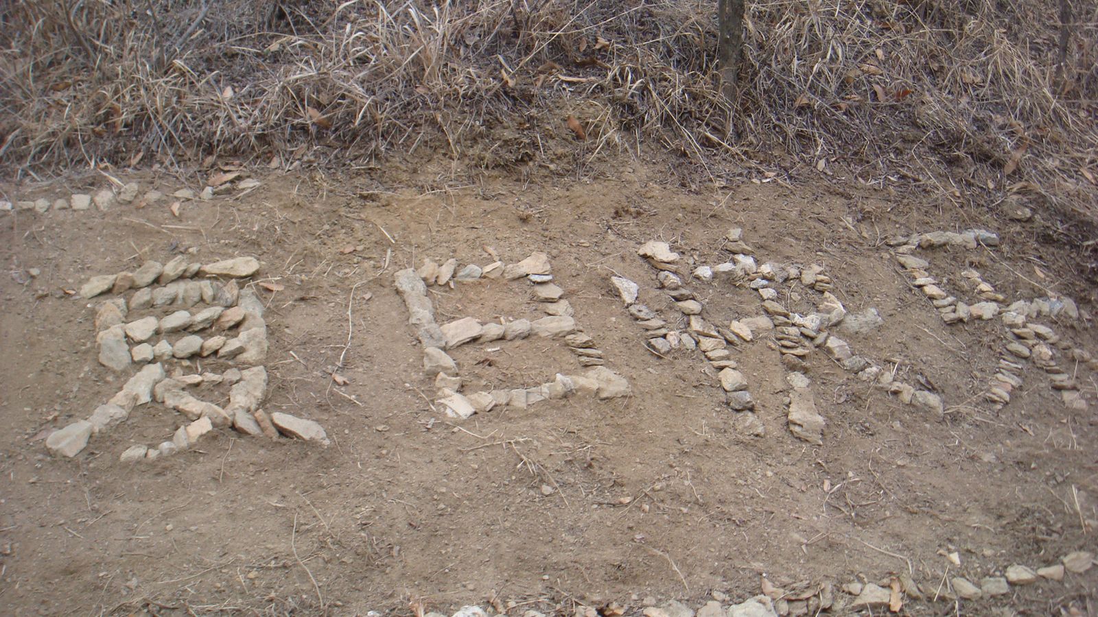 nEO_IMG_DSC09226.jpg