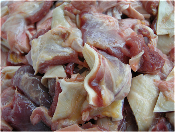 DSCN6400.JPG
