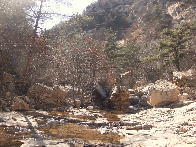 DSCF3455.jpg