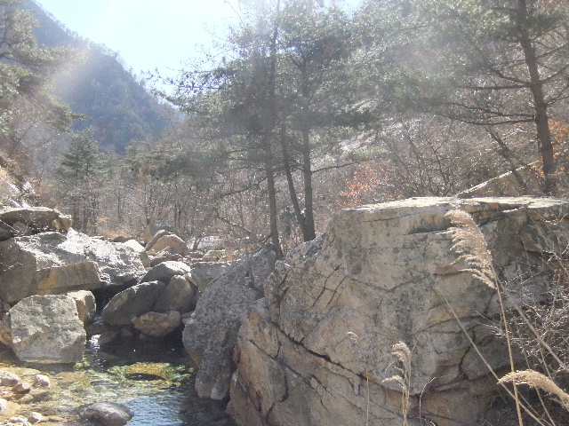 DSCF3431.jpg
