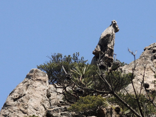 DSCF3423.jpg