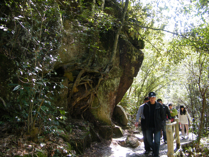 DSCF3177.jpg