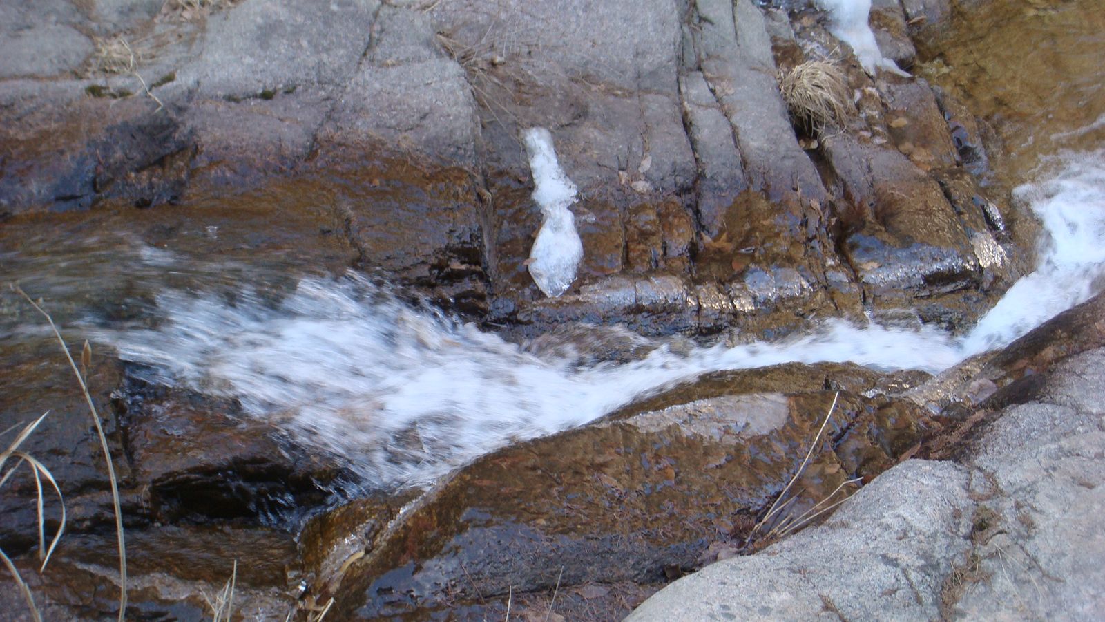 DSC09239.JPG