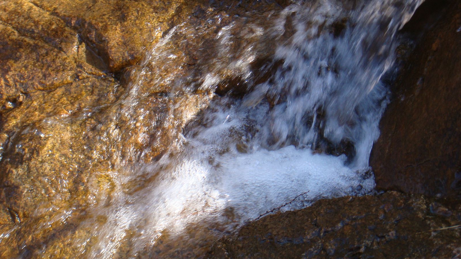 DSC09277.JPG