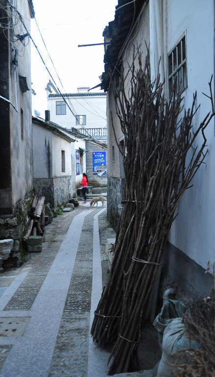 樟山大峡谷游照572 (229).jpg