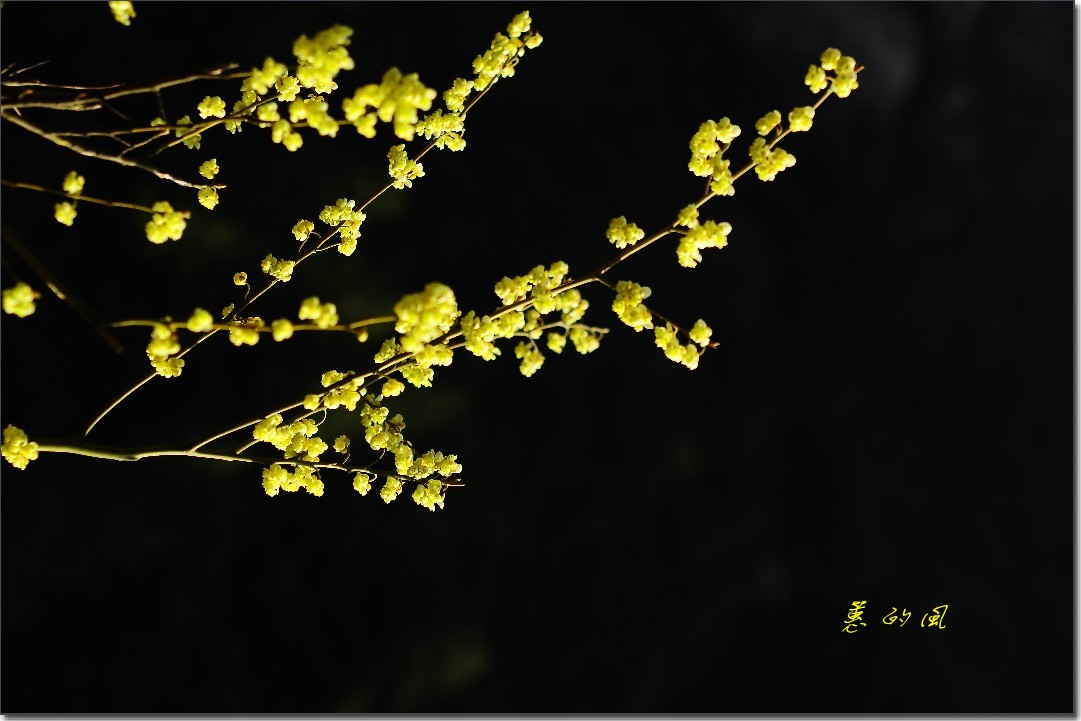 重行古道 (283)_conew1.jpg