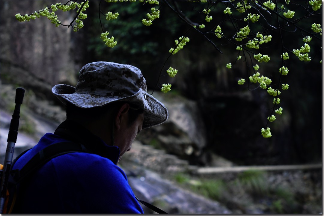 2012油菜花之行 660.jpg