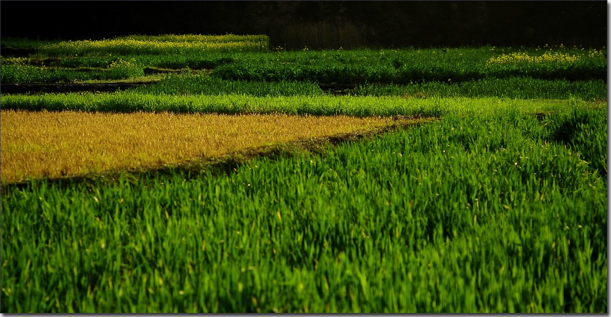 重行古道 (237).jpg