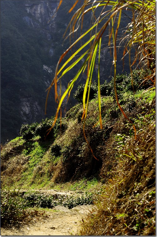 重行古道 (150).jpg