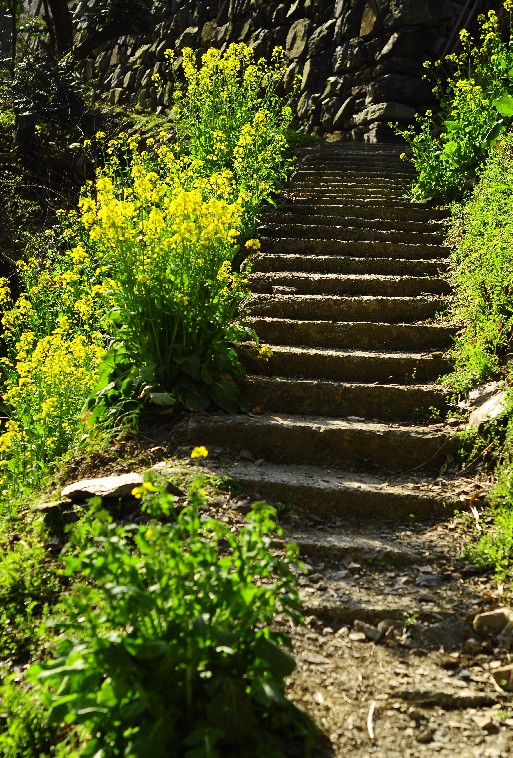 重行古道 (110).jpg