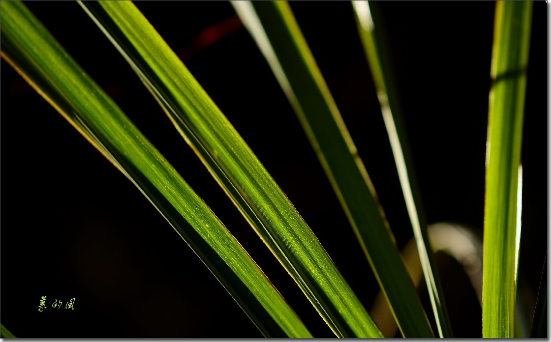 重行古道 (71)_conew1.jpg
