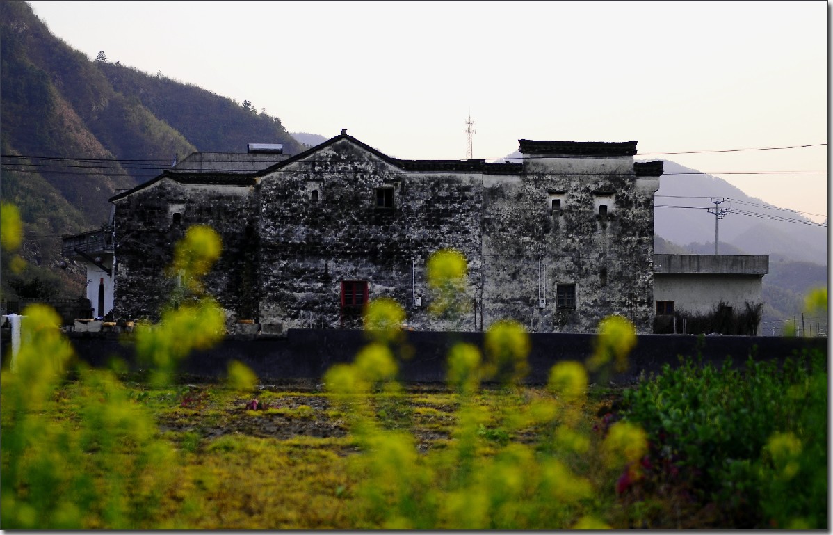 2012油菜花之行 410.jpg