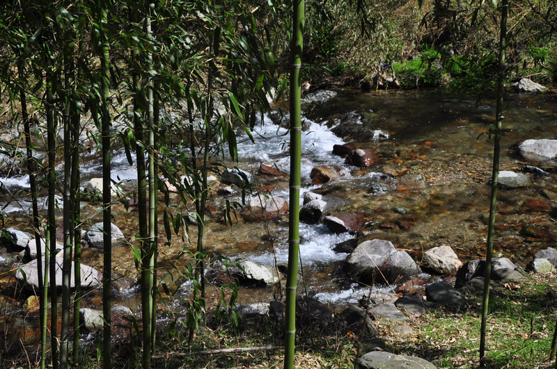 樟山大峡谷游照572 (430).jpg