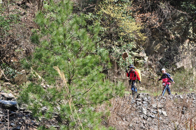 樟山大峡谷游照572 (502).jpg