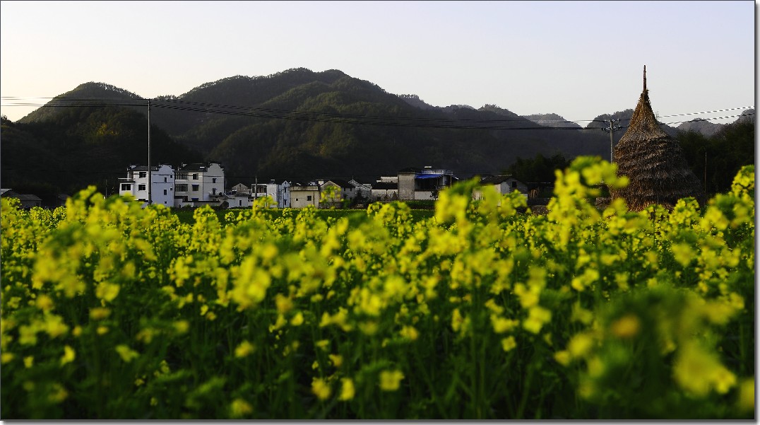 2012油菜花之行 348.jpg